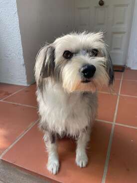 Profile photo of Nirvana