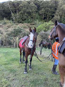 Profile photo of Mabel