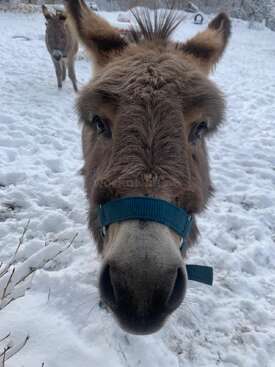 Profile photo of Tonino and Cesare