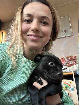 Profile photo of Midnight 