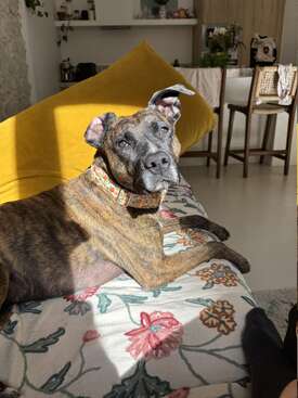Profile photo of Naicka