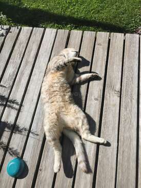 Profile photo of Billy