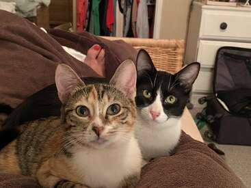 Profile photo of Minka and Patchi