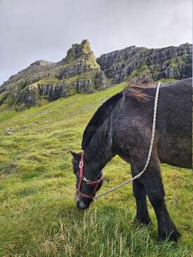 Profile photo of Líggjas