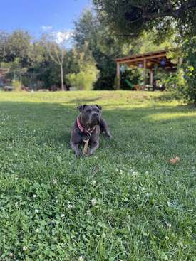 Profile photo of Heidi 