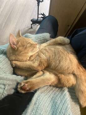 Profile photo of Tom