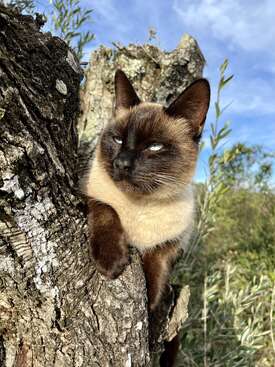 Profile photo of Teddy