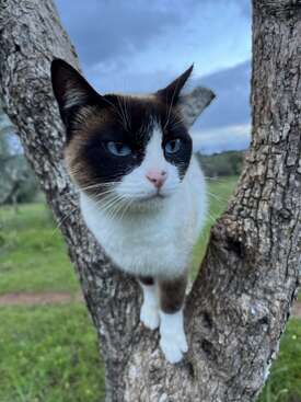 Profile photo of Sol