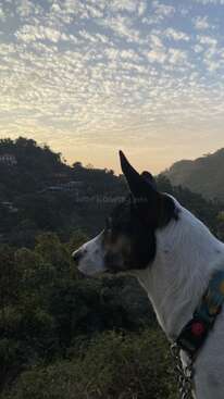 Profile photo of Rustam