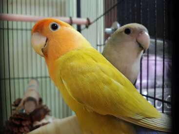 Profile photo of We do have 50+ of them, they all have names (most of them Thai or Hebrew) and we expect you to learn them all by heart within the first week of your stay!