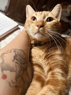 Profile photo of Kobe