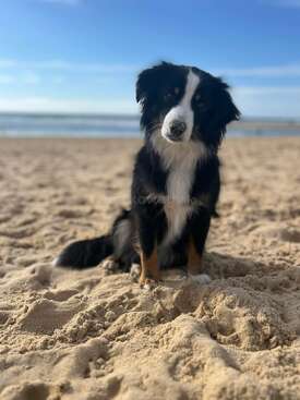 Profile photo of Luna