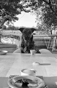 Profile photo of Malé