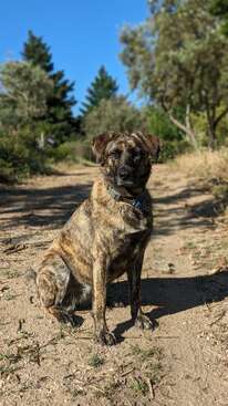 Profile photo of Lulu