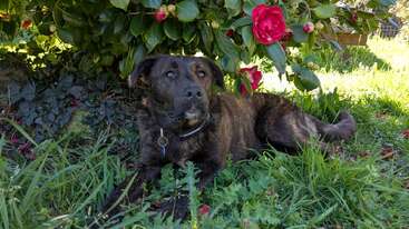 Profile photo of Raldo