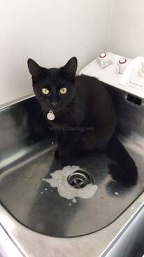 Profile photo of Missy