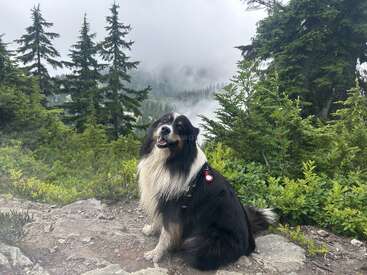 Profile photo of Disco