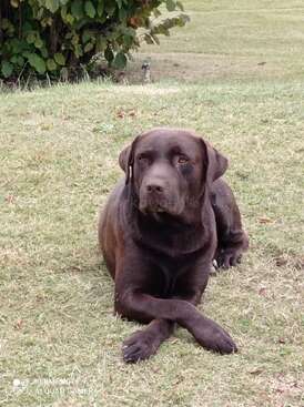 Profile photo of MOKA