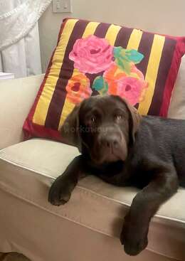 Profile photo of JANA