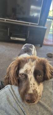 Profile photo of SKYE