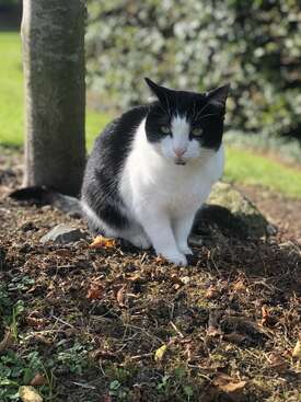 Profile photo of Fluff