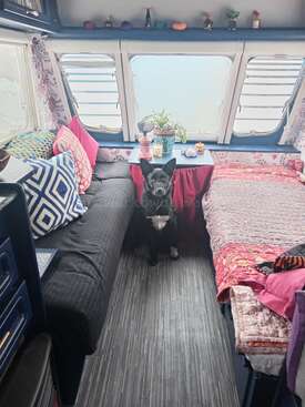 Profile photo of Captain