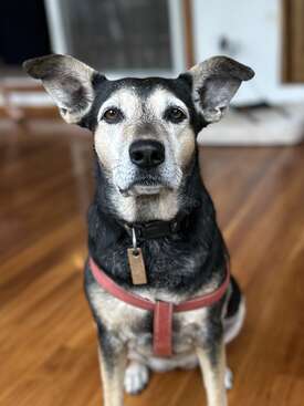 Profile photo of Luna