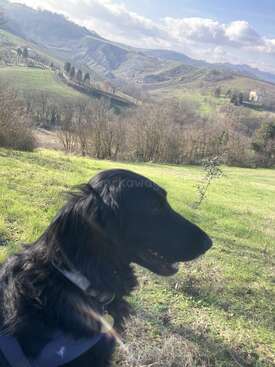 Profile photo of MOLLY