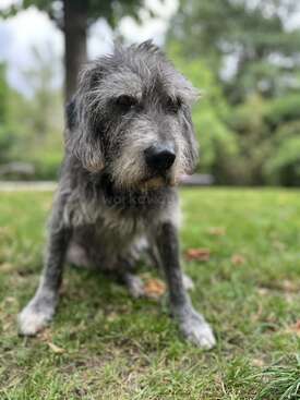 Profile photo of JACK