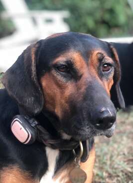 Profile photo of FUTURA