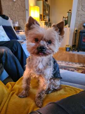 Profile photo of Milo