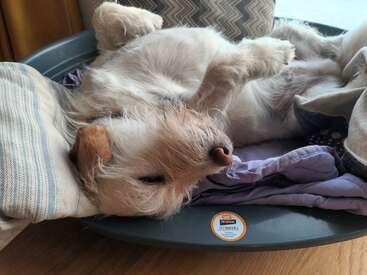 Profile photo of Roger 