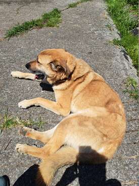 Profile photo of Pablín