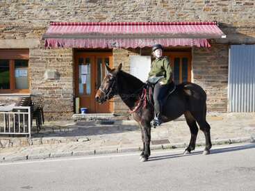 Profile photo of Catuxa (mule) 
