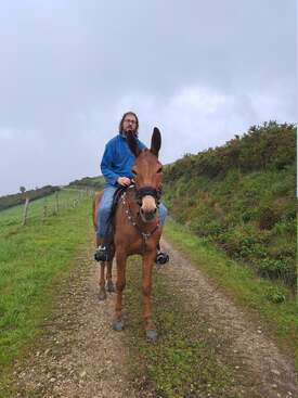 Profile photo of Artai (mule) 