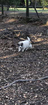 Profile photo of Oji