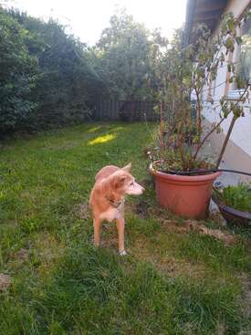 Profile photo of Luna