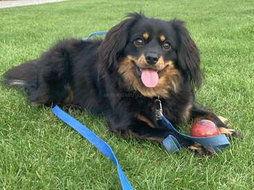 Profile photo of Louie