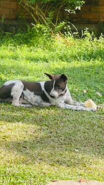 Profile photo of Bro