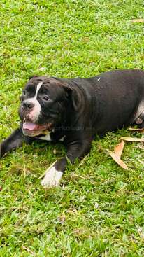 Profile photo of Russel