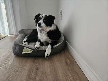 Profile photo of Logan