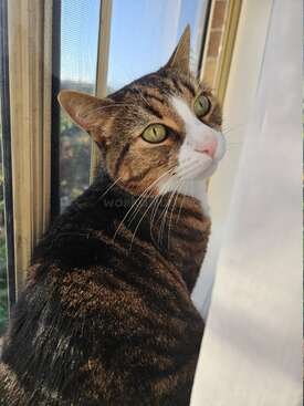 Profile photo of Tobias