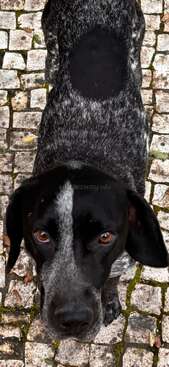 Profile photo of Max