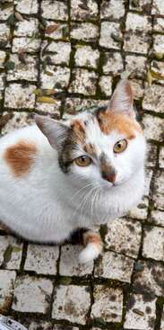 Profile photo of Minnie