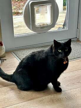 Profile photo of Sally