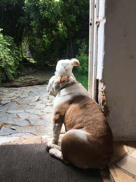 Profile photo of Aurora
