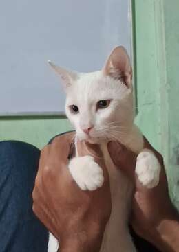 Profile photo of Timmy