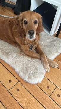 Profile photo of Flo