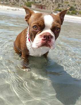 Profile photo of Skořápka (Nutshell)