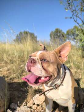 Profile photo of Rejka